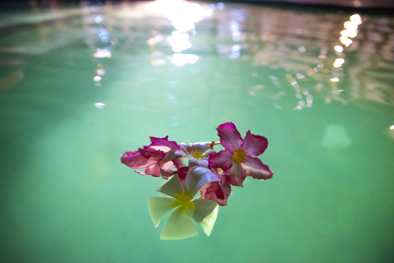 Green Diamond Villa Gili Trawangan Eksteriør billede